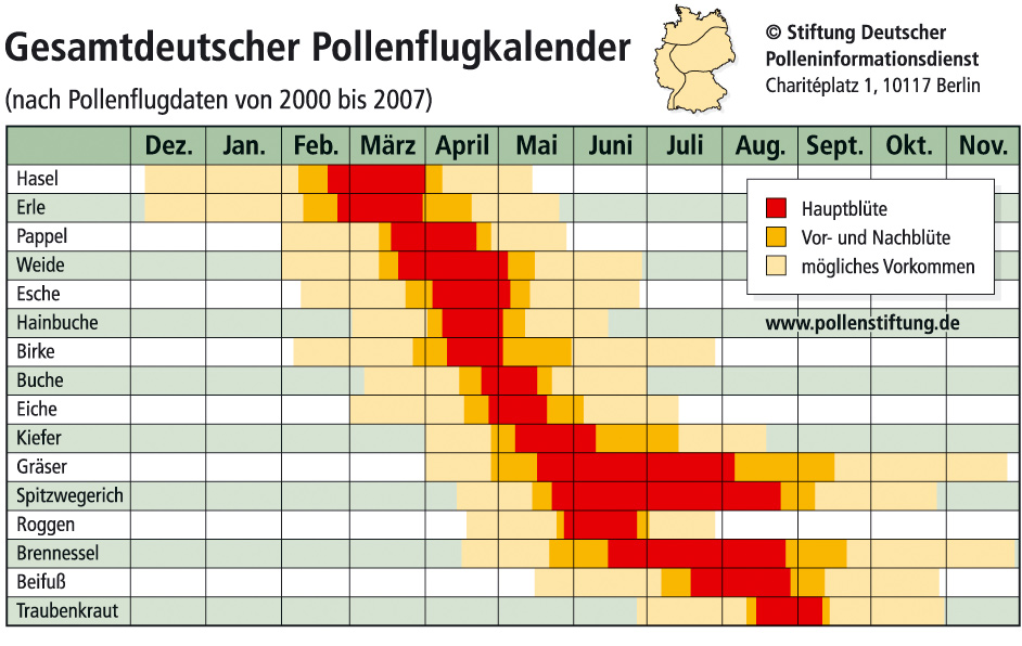 Pollenflug Heute Hessen
