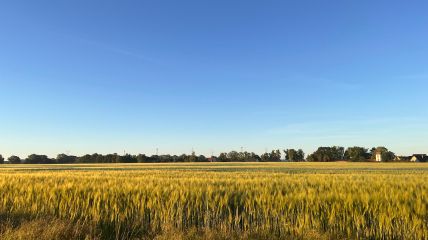 Weitestgehend sonnig und heiß, am Mittwoch in der Nordhälfte dann etwas kühler. Vorhersage