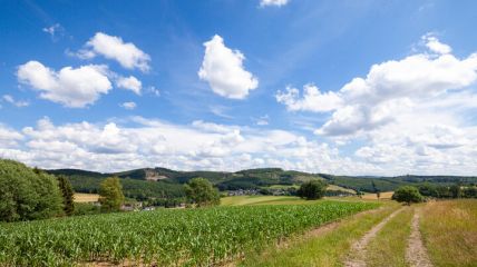 Sommerliche Pfingsten mit kleinen Schönheitsfehlern Vorhersage
