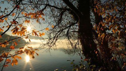 Golden anmutendes Oktoberwetter mit Schönheitsfehlern Vorhersage