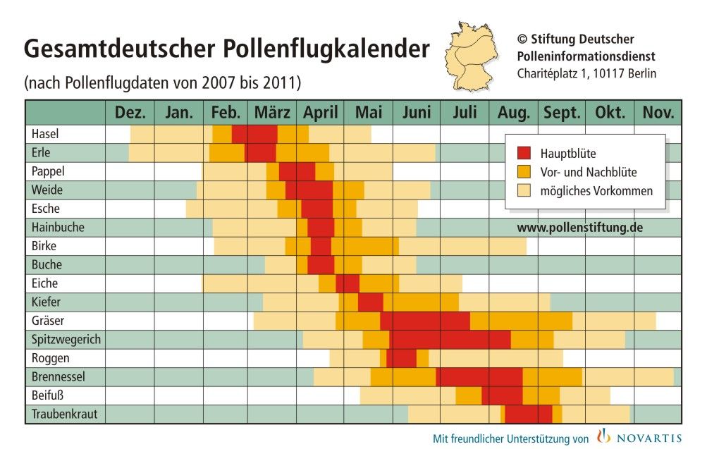 Es ist Pollenflugzeit! Wetterdienst.de
