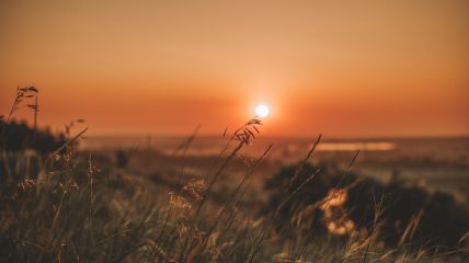 Ruhiges Herbstwetter mit sommerlichen Temperaturen Vorhersage
