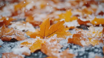 Spätherbstiches Frühwinterintermezzo Vorhersage
