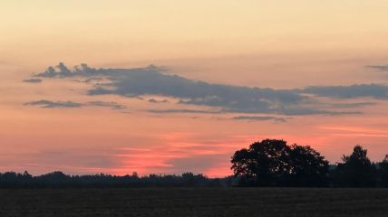 Hitze und Gewitter räumen allmählich zumindest zeitweise das Feld für angenehm-ruhiges Wetter und kühle Nächte. Vorhersage