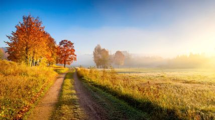 Ruhiges und ungewöhnlich warmes Herbstwetter. Örtlich Frühnebel. Im Nordwesten zeitweise Schauer, Donnerstag wechselhafter. Vorhersage
