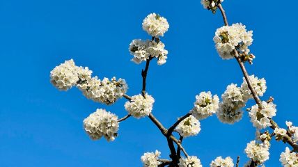 Meist freundlich mit wenigen Ausnahmen. Vorhersage