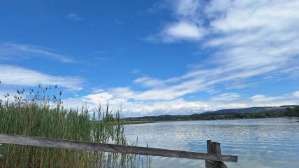 In der Nordhälfte am Wochenende wechselhafter, von Süden zunehmend Zwischenhocheinfluss, und am Montag sommerlich. In der Nacht auf Dienstag wieder Tiefdruckeinfluss. Vorhersage