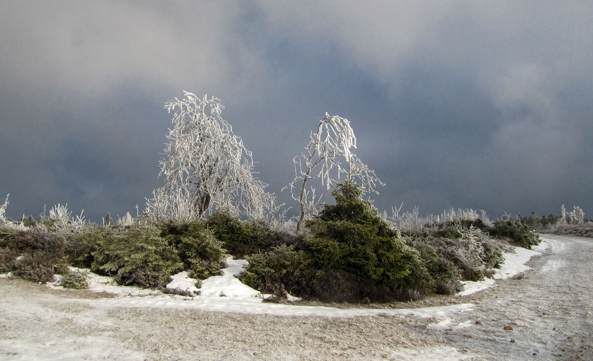 Deutschlandwetter im Winter 2025/2026 Thema des Tages
