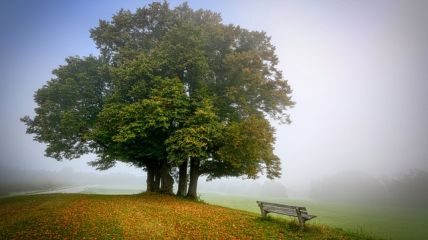 Weitestgehend ruhiges herbstliches Hochdruckwetter Vorhersage