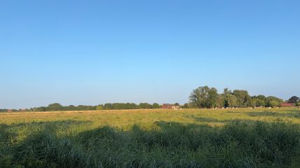 Zunächst wechselhaftes Sommerwetter, neue Hitzewelle in Sicht Vorhersage