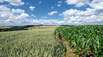 Hochsommerliche und sonnige Wetterwoche - mit ein paar Schönheitsfehlern! Vorhersage