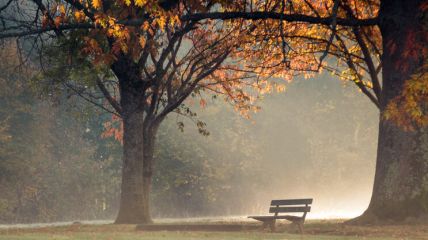 Zunächst überwiegend ruhiges, nach Nebel freundliches und mildes Herbstwetter. Zur Wochenmitte deutlich wechselhafter mit teils längerem Regen und kühler. Vorhersage