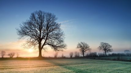 Nach Nebel kommt Sonne: Vorerst ruhiges Herbstwetter. Vorhersage
