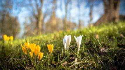 Frühling setzt sich fest Vorhersage
