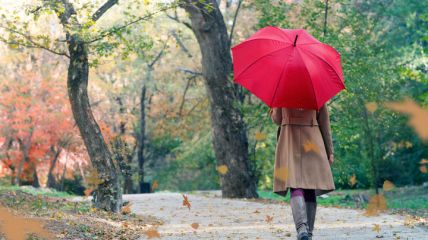 Wetterumstellung naht Vorhersage