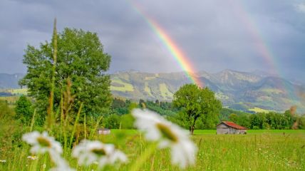 Vom Juni in den April Vorhersage
