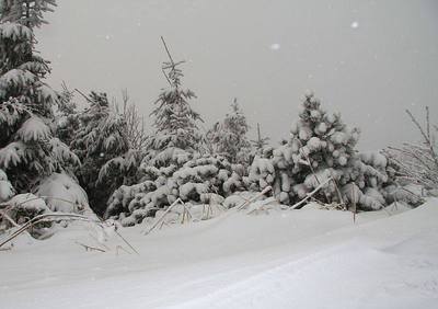 Schneezuwachs auf dem Fichtelberg am 15. Januar