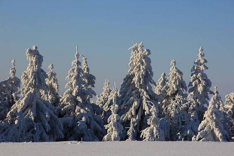 Strahlend blauer Himmel, 57 cm Schnee, da macht der Wintersport Spaß. 
