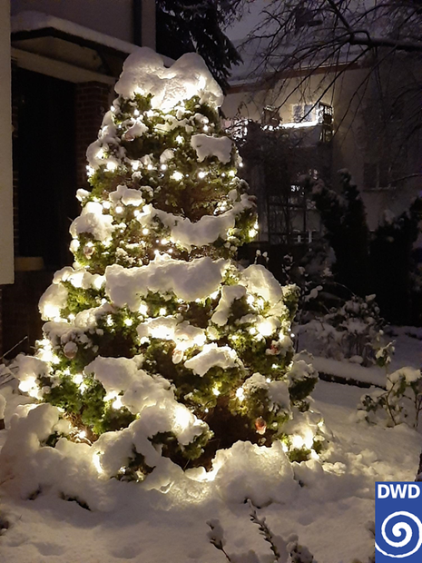 Foto zeigt einen verschneiten Weihnachtsbaum in Chemnitz. (Quelle DWD-Warnwetter-App)