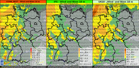 Windprognose verschiedener Modelle für die Neujahrsnacht (Nacht von Sonntag, den 31.12.2023 zum Montag, den 01.01.2024) (Quelle DWD - Deutscher Wetterdienst)