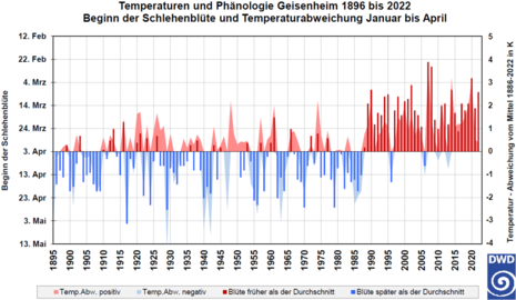 Zusammenhang zwischen jährlicher Temperaturabweichung (Januar bis April) und Beginn der Schlehenblüte in Geisenheim zwischen 1896 und 2022