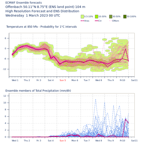 Ensemblevorhersage des ECMWF für die Temperatur in rund 1500 m Höhe und den Niederschlag für Offenbach (Quelle ECMWF)