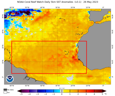 Karte der Meeresoberflächentemperatur für den Südteil des Nordatlantiks. (Quelle https://coralreefwatch.noaa.gov/data_current/5km/v3.1_op/daily/png/ct5km_ssta_v3.1_nwel_current.png)