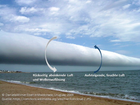 Das Bild zeigt eine roll cloud über dem Meer. Dazu sind die kleinräumigen Strömungen skizziert. (Quelle Daniela Mirner Eberl via https://commons.wikimedia.org/wiki/File:Roll-cloud-2.jpg)