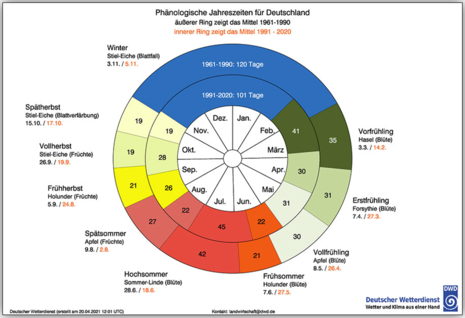 Bild 5: Die Grafik zeigt den Verlauf der Mittelwerte von 1961 bis 1990 mit 1991 bis 2020 in Form einer phänologischen Uhr. (Quelle DWD - Deutscher Wetterdienst)