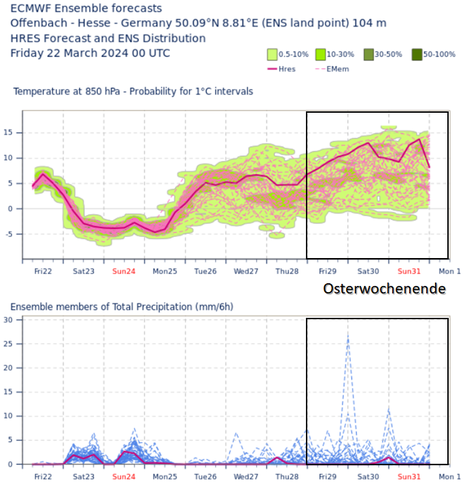 Ensemblevorhersage des ECMWF für die Temperatur in etwa 1500 m Höhe und den Niederschlag für Offenbach. (Quelle ECWMF (Europäische Zentrum für mittelfristige Wettervorhersage))