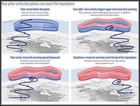Bild 2: Wie eine Störung des Polarwirbels in der Stratosphäre die Troposphäre erreichen kann.