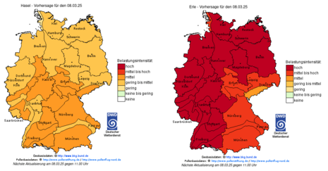 Pollenflug – Gefahrenindex für Hasel (links) und Erle (rechts) am morgigen Samstag (08.03.2025) (Quelle Deutscher Wetterdienst)