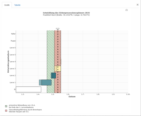 Grafik zur Entwicklung des Eichenprozessionsspinners für Frankfurt/Main-Nord vom 11.05.2025, daraus ersichtlich: Gesundheitsgefährdung durch Brennhaare lebender Raupen seit 04.05.2025 (Quelle DWD)