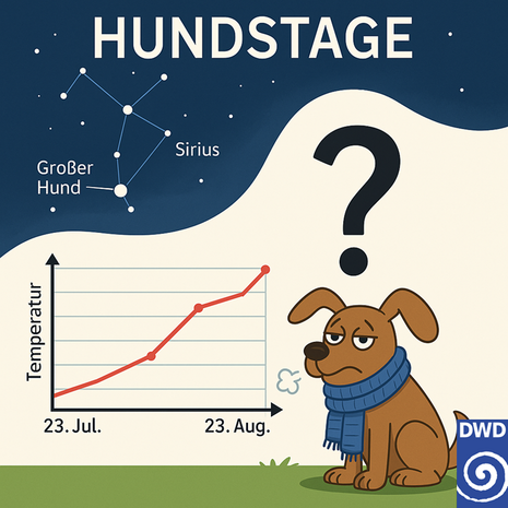 Humoristische Illustration der Hundstage: Eigentlich die heißeste Zeit des Jahres – doch 2025 bleibt es bei