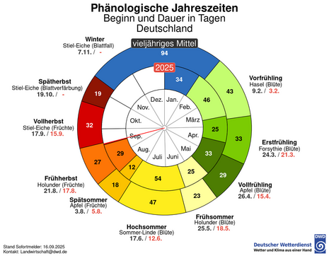 Phänologische Uhr mit Beginn und Dauer der phänologischen Jahreszeiten, vieljähriges Mittel und aktuelles Jahr 2025 im Vergleich