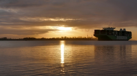 Sonnenaufgang bei Grünendeich an der Elbe (Niedersachsen).