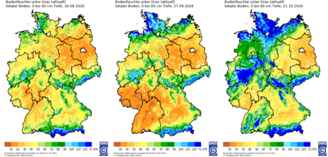 Abbildung 2: Bodenfeuchte in 0 - 60 cm Tiefe unter Gras am 30.08. (links), 27.09. (Mitte) und 21.10.2026 (rechts).