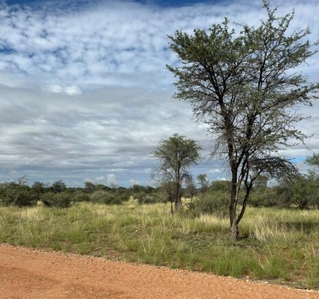 Typisches Himmelsbild während der Regenzeit in der Kalahari: Chaotischer Himmel mit mehrschichtiger Bewölkung, bevor starke Schauer und Gewitter entstehen. Quelle: Stefan Hahn