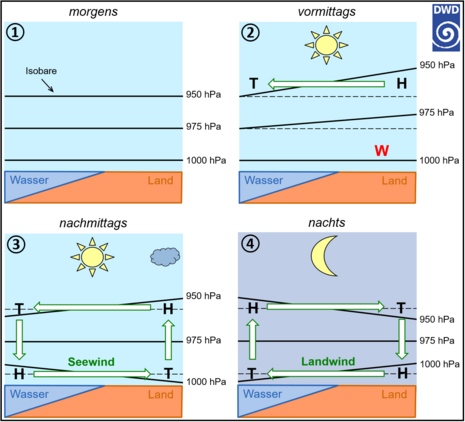 Schematische Darstellung der Land-Seewind-Zirkulation im Verlauf eines Tages. Quelle: Deutscher Wetterdienst