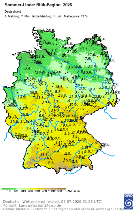 Abb. 1. Aktuelle Deutschlandkarte mit Meldungen zum Blühbeginn der Sommer-Linde, Stand: 06.07.2026, 01:26 UTC