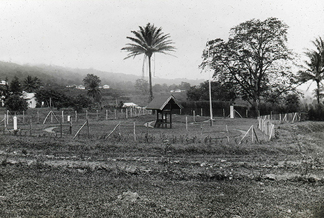 Meteorologische Hauptstation in Buea (Kamerun), 1913, Quelle: Archiv Deutsche Seewarte über Deutscher Wetterdienst