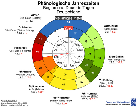Aktuelle phänologische Uhr (Quelle: DWD, https://www.dwd.de/DE/leistungen/phaeno_uhr/phaenouhr.html)