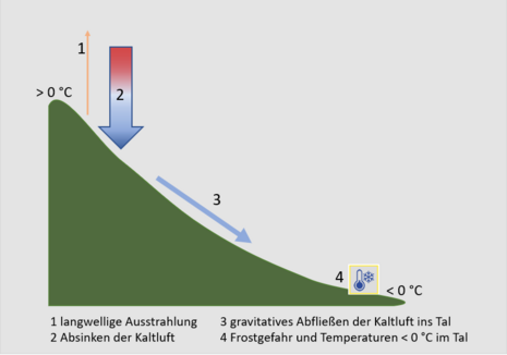 Schematische Darstellung der Entwicklung von Kaltluftseen in Tälern
