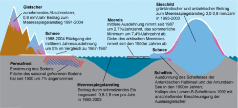 Übersicht über die Veränderungen der Kryosphäre in den letzten Jahrzehnten.