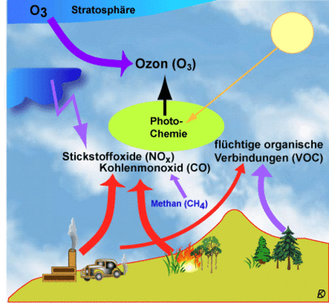 Die Entstehung der wichtigsten Ozonvorläufergase Stickoxide (NOx), Kohlenmonoxid (CO) und flüchtigen organischen Verbindungen (VOC) sowie von troposphärischem Ozon. Rot: anthropopgene, lila: natürliche Prozesse.