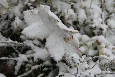 Der erste Schnee auf dem Wendelstein am 12. September 2012