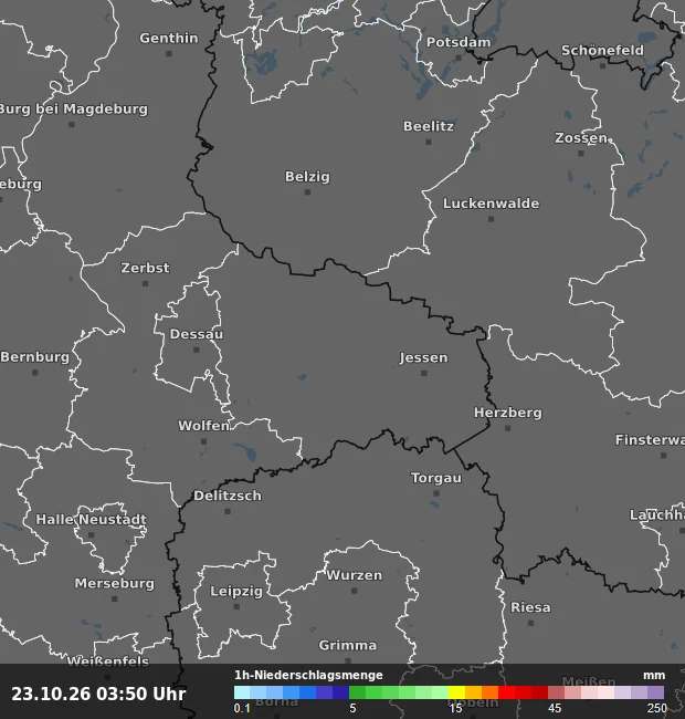 1h-Niederschlagsmenge Wittenberg