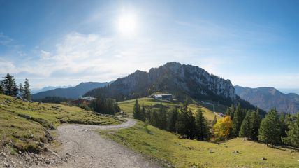 Vorhersage