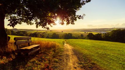 Vorhersage