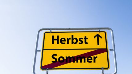 Vorhersage